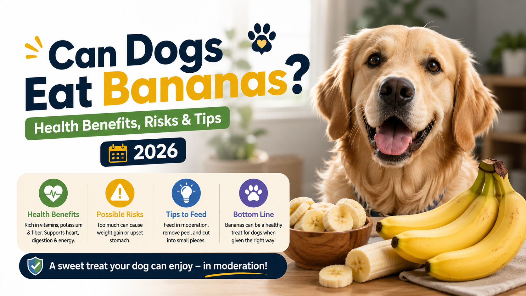 Can Dogs Eat Bananas